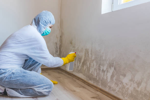 Hvac And Air Duct Mold Remediation inspection of HVAC system in Acworth