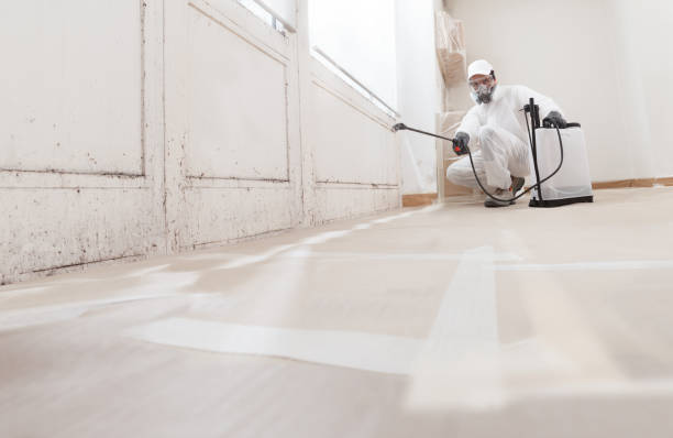 Black mold remediation team in Acworth